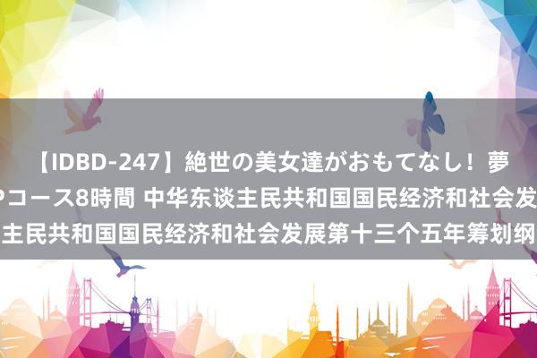 【IDBD-247】絶世の美女達がおもてなし！夢の桃源郷 IP風俗街 VIPコース8時間 中华东谈主民共和国国民经济和社会发展第十三个五年筹划纲领