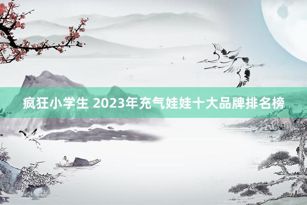 疯狂小学生 2023年充气娃娃十大品牌排名榜