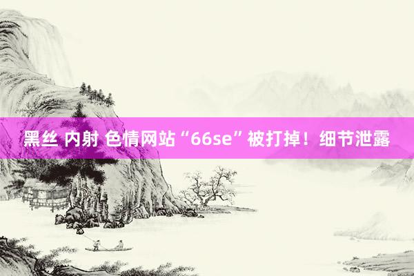 黑丝 内射 色情网站“66se”被打掉！细节泄露