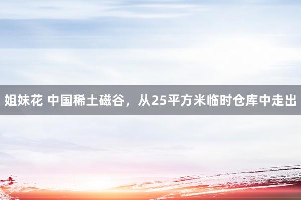 姐妹花 中国稀土磁谷，从25平方米临时仓库中走出