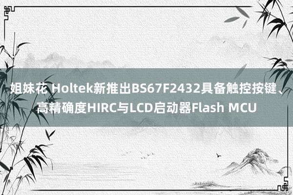 姐妹花 Holtek新推出BS67F2432具备触控按键、高精确度HIRC与LCD启动器Flash MCU