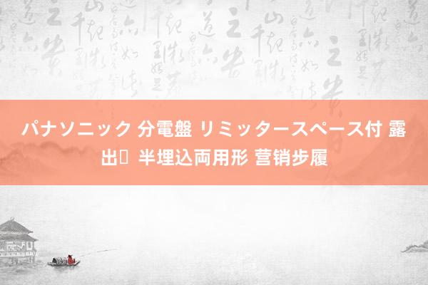 パナソニック 分電盤 リミッタースペース付 露出・半埋込両用形 营销步履