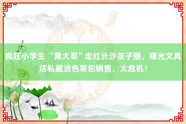 疯狂小学生 “黑大哥”走红长沙孩子圈，曙光文具店私藏货色罪犯销售，太危机！