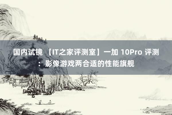 国内试镜 【IT之家评测室】一加 10Pro 评测：影像游戏两合适的性能旗舰