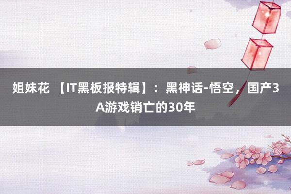 姐妹花 【IT黑板报特辑】：黑神话-悟空，国产3A游戏销亡的30年