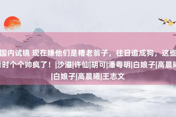 国内试镜 现在嫌他们是糟老翁子，往日追成狗，这些男星年青时个个帅疯了！|沙溢|许仙|胡可|潘粤明|白娘子|高晨曦|王志文