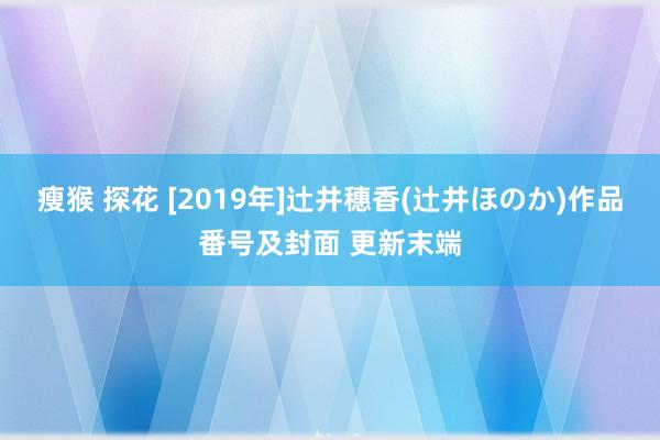 瘦猴 探花 [2019年]辻井穗香(辻井ほのか)作品番号及封面 更新末端