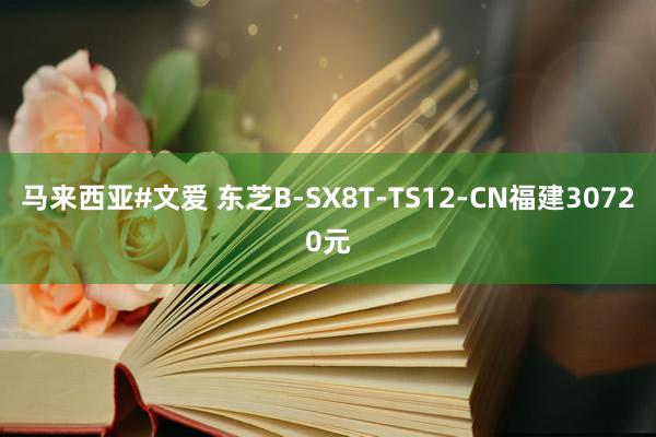 马来西亚#文爱 东芝B-SX8T-TS12-CN福建30720元