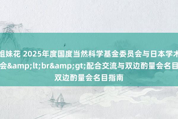 姐妹花 2025年度国度当然科学基金委员会与日本学术振兴会&lt;br&gt;配合交流与双边酌量会名目指南